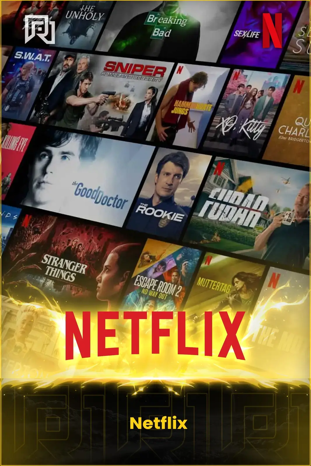 Netflix Account 