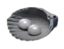 60 Echobeeds