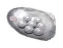 300 Echobeeds