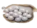 1800 Echobeeds