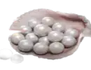 3000 Echobeeds